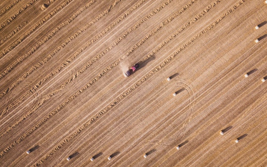 Can Dry Farming Help U.S. Farmers Cope with Drought?