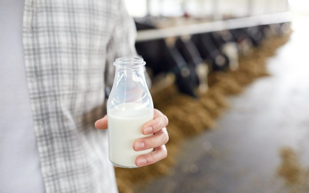 How a Recession Could Impact the Dairy Industry