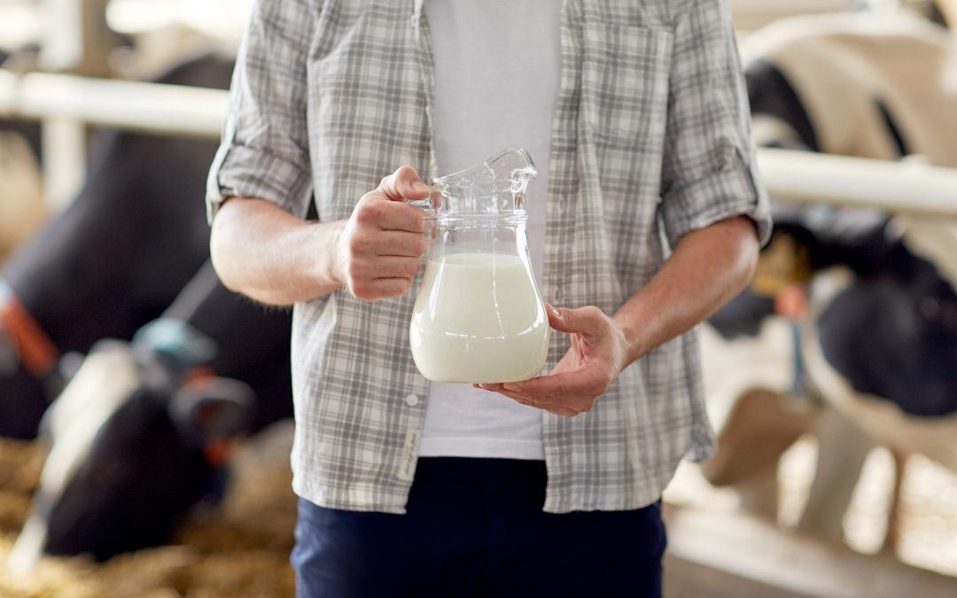 Will the Dairy Industry Recover in 2020?