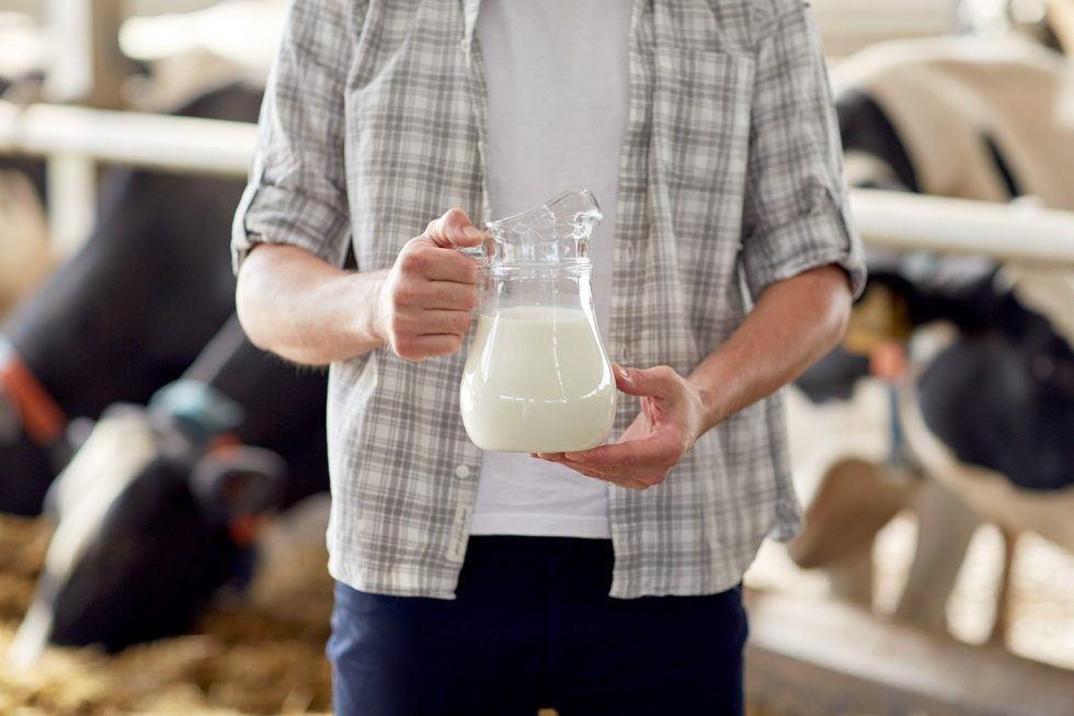 Will the Dairy Industry Recover in 2020? - MSFAgriculture