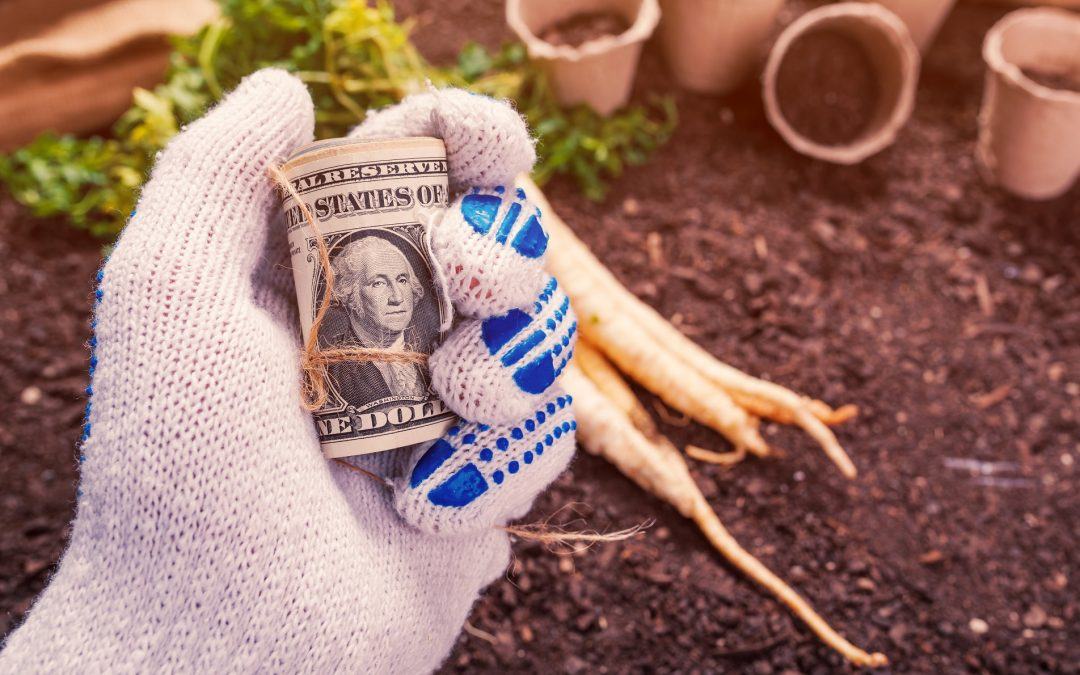 5 Smart Tips for Successfully Refinancing Your Farm