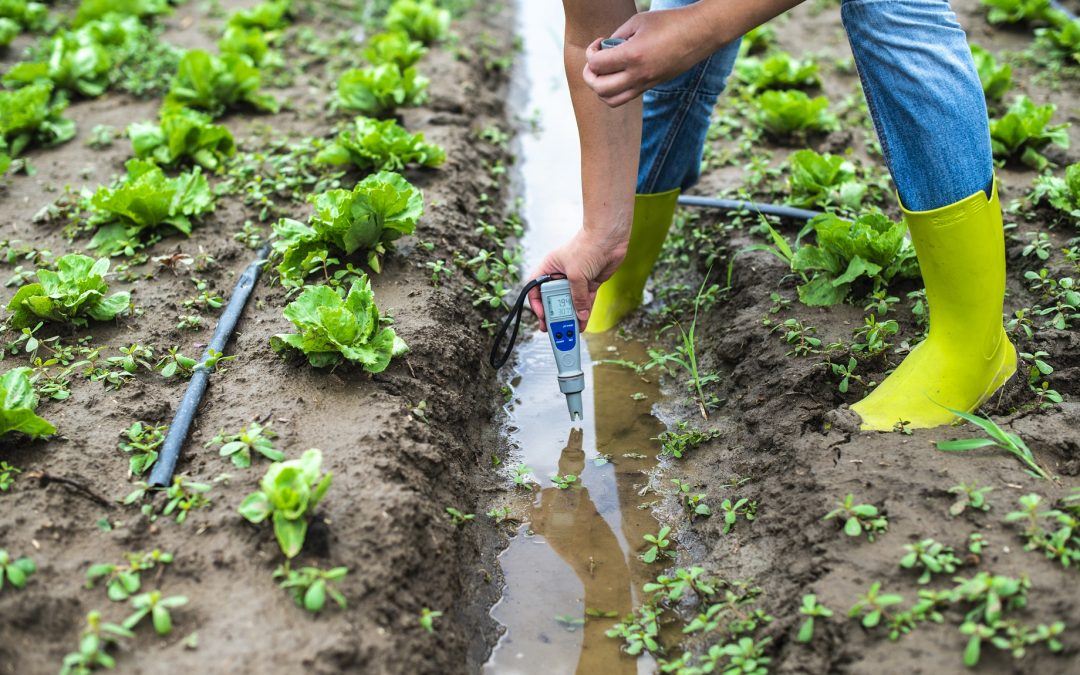 How to Protect Your Farm’s Water Supply from Pollution