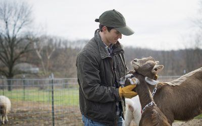 Goat Farming 101: How to Get Started