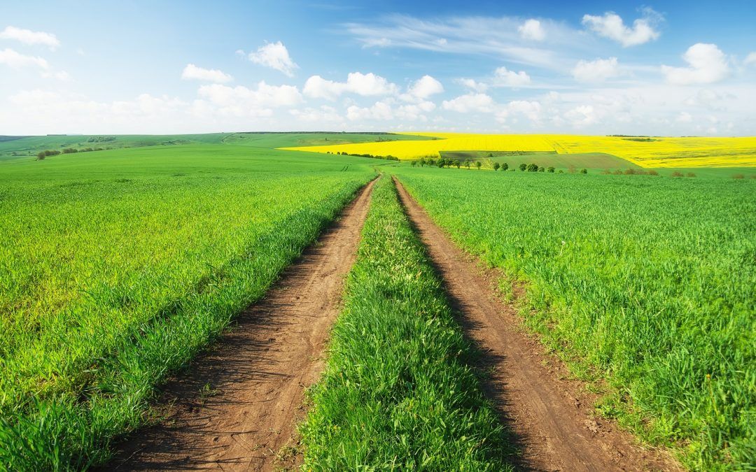 Quick Guide to Financing a Rural Land Purchase